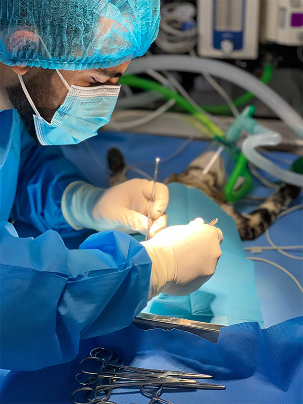 Surgery